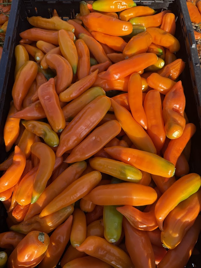 Ají Amarillo