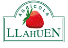 Llahuen